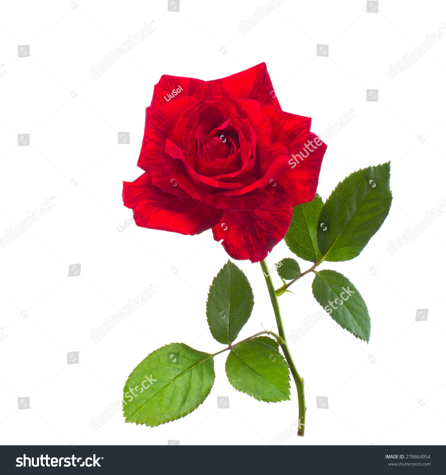 চেয়ারম্যানের ছবি